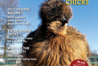 Backyard Poultry — April/May 2026